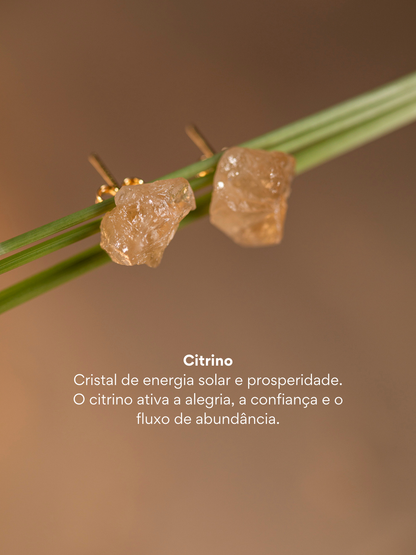 Brinco Luz